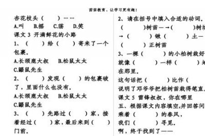 ​什么的树荫填空词语aa式