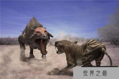 ​世界上最可怕的猪是什么：咬合力惊人的完齿猪