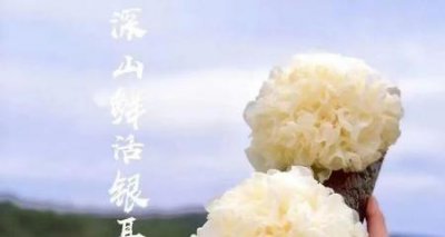 ​银耳产地（银耳产地排名）