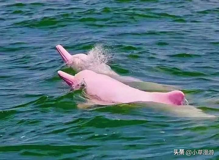广西自驾游旅游线路（广西自驾游路线图攻略）