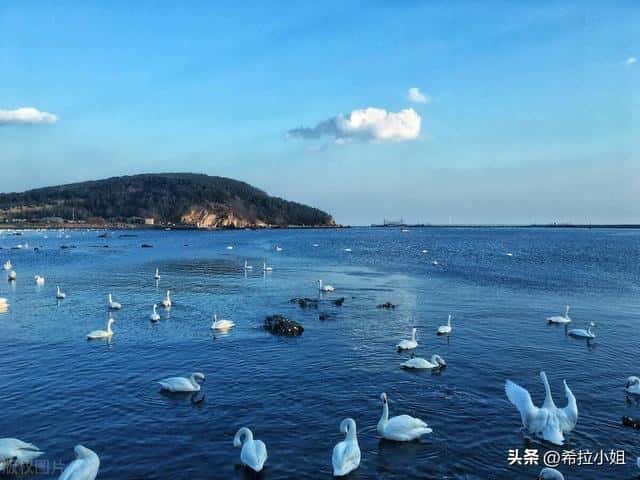 威海最美的景点（威海旅游攻略必去景点）