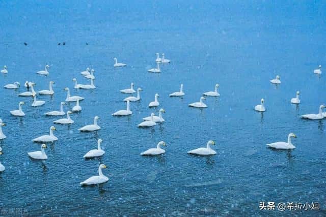 威海最美的景点（威海旅游攻略必去景点）