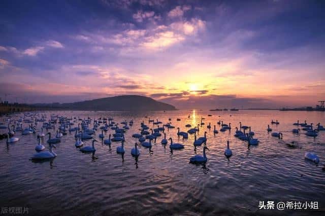 威海最美的景点（威海旅游攻略必去景点）