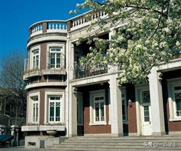 悬疑探案剧——《神探杨金邦》