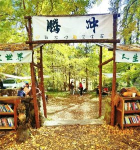 ​去有“热”的地方3：腾冲银杏村，漫步一片诗意的金色童话世界