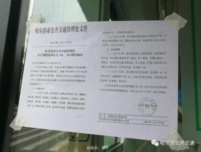 ​哈尔滨一大拨公交车线路将调整！包括101、102、103……