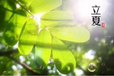 ​立夏吃蛋的风俗由来 立夏吃咸鸭蛋的寓意