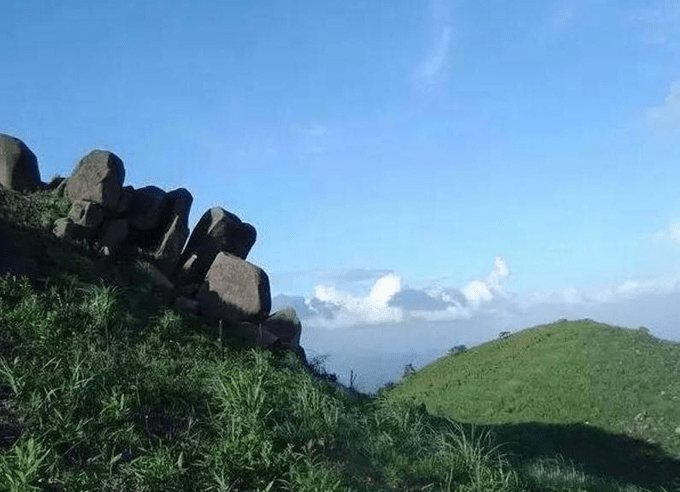 葛根产地哪里正宗(葛根哪里产地最好)