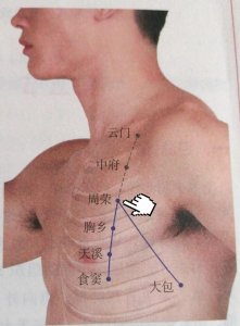 ​每日一穴——周荣穴