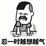 越想越气表情包