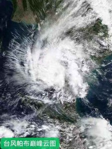 ​康康看天气之盘点2019年台风