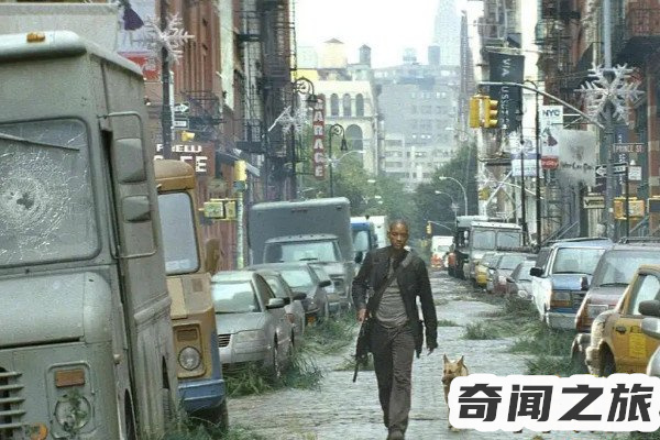 好看的经典丧尸电影排行榜前十名(丧尸电影排行前十名推荐)(4)_
