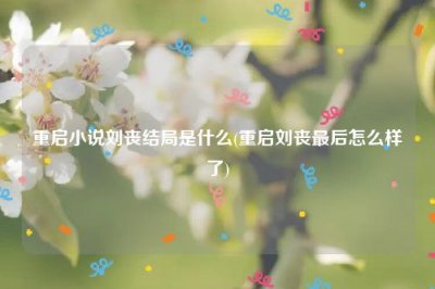 ​重启小说刘丧结局是什么(重启刘丧最后怎么样了)