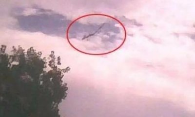 ​丢人！号称中国第一太空科幻，结果票房只有25万，上海堡垒都笑了