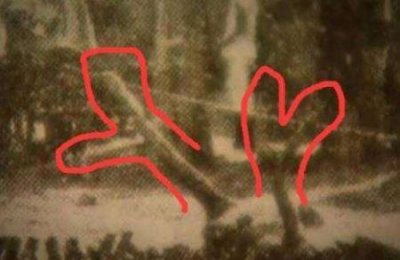 ​世界上耕地面积最大的两个国家