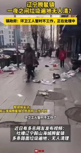 ​深度报道：辽宁鞍山海城腾鳌镇，垃圾围城之谜一夜揭开