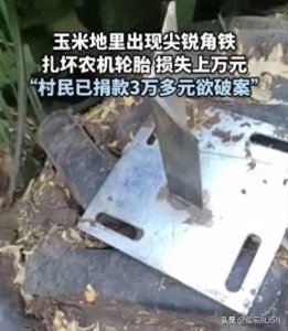 ​从玉米地三角铁事件看社会公序良俗之重