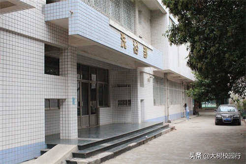 《大树校园行》之河南工业大学嵩山路校区