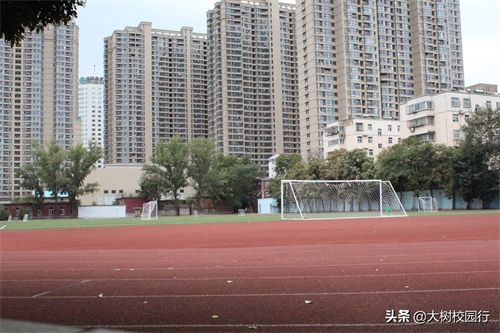 《大树校园行》之河南工业大学嵩山路校区