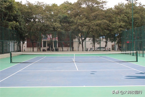 《大树校园行》之河南工业大学嵩山路校区