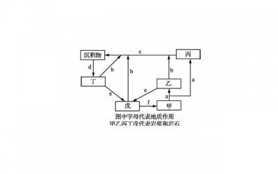 ​另一半去世了你会如何度过余生？这些回答，让我明白了何为爱情