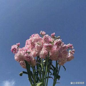 ​宋濂