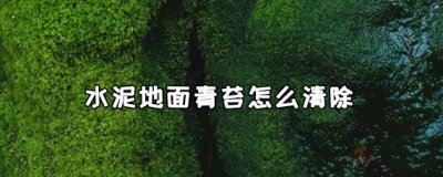 ​水泥地面青苔怎么清除 水泥地上的油污怎么去除