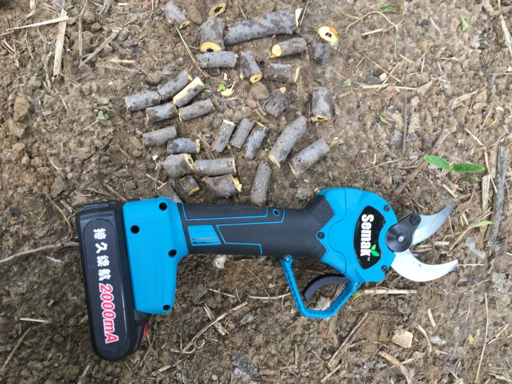 电动剪刀哪个牌子耐用（果农朋友家的必备神器）