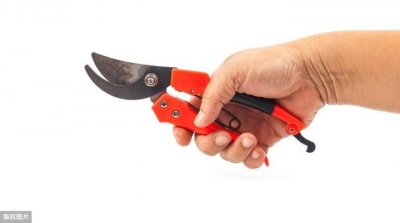 ​电动剪刀哪个牌子耐用（果农朋友家的必备神器）