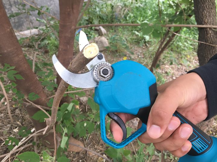 电动剪刀哪个牌子耐用（果农朋友家的必备神器）