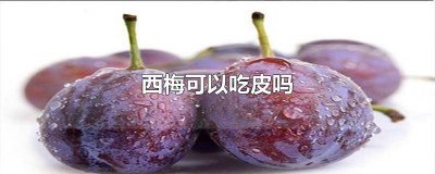 ​西梅皮可以不吃吗 西梅的皮能吃不