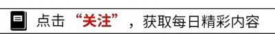 ​纪晓波是如何发家的？背后又隐藏着怎样的真相？本文为你详细解答