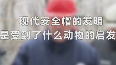 ​现代安帽的发明是被哪些动物的启发 人们根据什么动物发明了新型安全帽