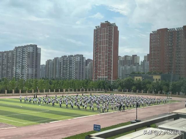 大兴四所优质学校（5所名校落户这仨镇）(3)