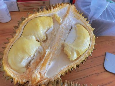 ​榴莲放久了还能吃吗（榴莲放久了还可以吃吗）