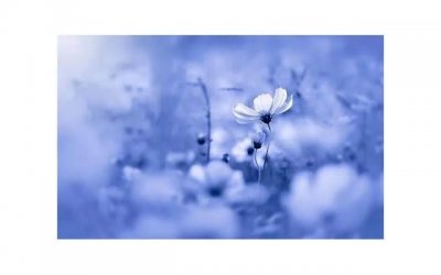 ​男人依赖你意味着什么 男人依赖你意味着什么意思