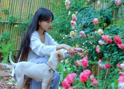 ​李子柒传统文化的真实再现还是商业化的美化包装？