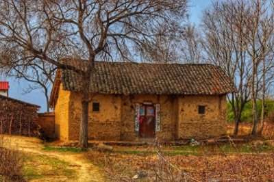 ​打工半辈子手里没钱! 就回农村创业 4种方法!