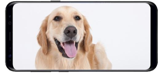 三星note8发布会讲解(八大功能全覆盖)(4)