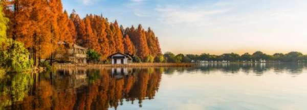 西湖多大面积平方米,西湖面积有多大图1