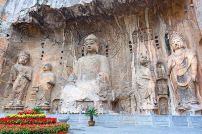 ​洛阳牡丹与菏泽牡丹：一段跨越千年的美丽渊源