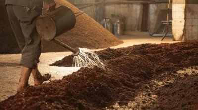 ​黔酒一号价格查询，黔酒一号价格表