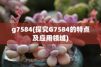 ​g7584(探究G7584的特点及应用领域)