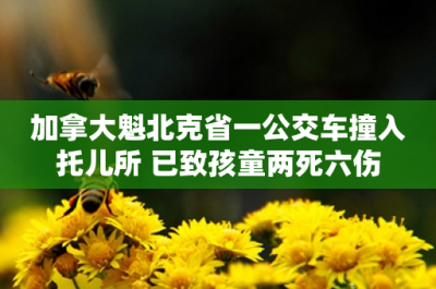​加拿大魁北克省一公交车撞入托儿所 已致孩童两死六伤