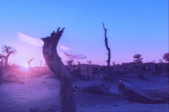 摄影三原色调色教程（后期调色的核心原理）(14)