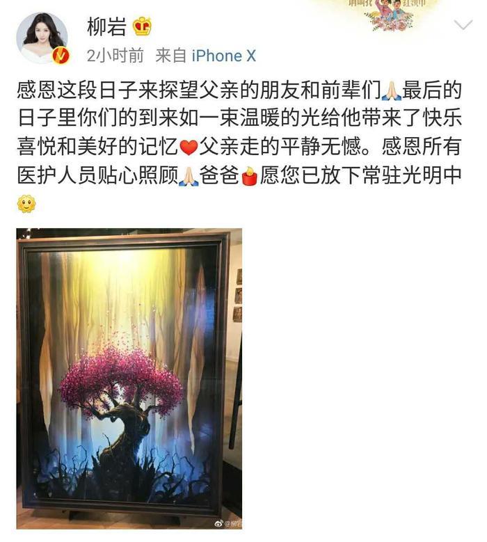 柳岩父亲去世：人生实苦，你只有拼尽全力