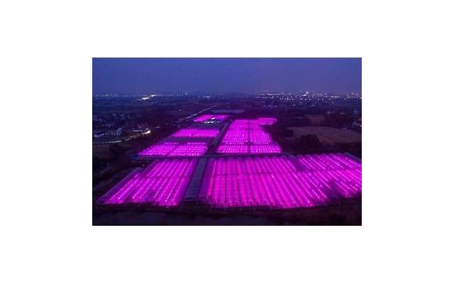 已婚男人喜欢什么礼物(给已婚男人送啥礼物) 已婚男人喜欢什么礼物(给已婚男人送啥礼物)