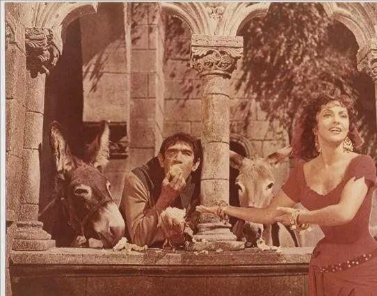 巴黎圣母院经典好段摘抄（留住永恒的真善美）(2)