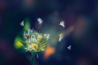 ​中国男子铅球全国纪录 男子铅球全国纪录多少米