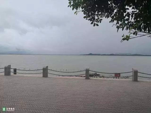 一个人快不是真的快, 大家快才是真的快!